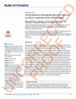 Research paper thumbnail of Using Neisseria meningitidis genomic diversity to inform outbreak strain identification