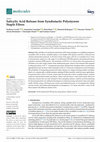 Research paper thumbnail of Salicylic Acid Release from Syndiotactic Polystyrene Staple Fibers