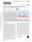 Research paper thumbnail of Proteolysis of Iron Oxide-Associated Bovine Serum Albumin