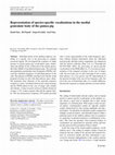 Research paper thumbnail of Representation of species-specific vocalizations in the medial geniculate body of the guinea pig