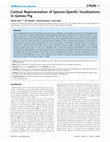 Research paper thumbnail of Cortical Representation of Species-Specific Vocalizations in Guinea Pig