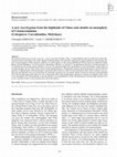 Research paper thumbnail of A new weevil genus from the highlands of China casts doubts on monophyly of Cotasteromimina (Coleoptera: Curculionidae, Molytinae)