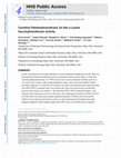 Research paper thumbnail of Carnitine Palmitoyltransferase 1A Has a Lysine Succinyltransferase Activity