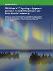 Research paper thumbnail of Tfeb Links MYC Signaling to Epigenetic Control of Acute Myeloid Leukemia Cell Death and Differentiation