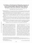 Research paper thumbnail of No Evidence of Involvement of Chlamydia pneumoniae in Severe Cerebrovascular Atherosclerosis by Means of Quantitative Real-Time Polymerase Chain Reaction