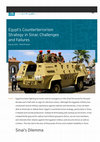 Research paper thumbnail of Egypt’s Counterterrorism Strategy in Sinai: Challenges and Failures