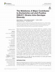 Research paper thumbnail of The Mobilome; A Major Contributor to Escherichia coli stx2-Positive O26:H11 Strains Intra-Serotype Diversity