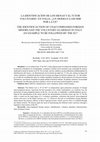 Research paper thumbnail of THE IDENTIFICATION OF UNACCOMPANIED FOREIGN MINORS AND THE VOLUNTARY GUARDIAN IN ITALY: AN EXAMPLE TO BE FOLLOWED BY THE EU?