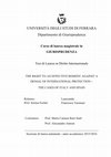 Research paper thumbnail of THE RIGHT TO AN EFFECTIVE REMEDY AGAINST A DENIAL OF INTERNATIONAL PROTECTION – THE CASES OF ITALY AND SPAIN