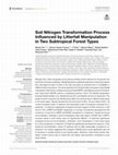 Research paper thumbnail of Soil Nitrogen Transformation Process Influenced by Litterfall Manipulation in Two Subtropical Forest Types