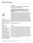 Research paper thumbnail of Nuclear accumulation of host transcripts during Zika Virus Infection