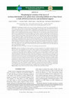 Research paper thumbnail of Variações morfológicas de folhas de plantas de Aechmea distichantha Lem. de habitats contrastantes de uma floresta do Chaco: uma compensação entre área foliar e suporte mecânico