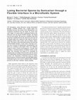 Research paper thumbnail of Lysing Bacterial Spores by Sonication through a Flexible Interface in a Microfluidic System