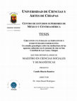 Research paper thumbnail of Circuitos culturales alternativos y Subjetividades emergentes. Un estudio genealógico sobre las mediaciones de las agencias culturales en el consumo de cine en San Cristóbal de Las Casas, Chiapas.