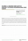 Research paper thumbnail of Colombia: la amazonia como sujeto de derechos y su defensa intergeneracional desde Caquetá