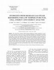 Research paper thumbnail of Hydrogen from biomass gas steam reforming for low temperature fuel cell: energy and exergy analysis