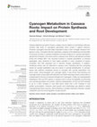 Research paper thumbnail of Cyanogen Metabolism in Cassava Roots: Impact on Protein Synthesis and Root Development