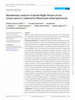 Research paper thumbnail of Metabolomic analysis of sheath blight disease of rice (Oryza sativa L.) induced by Rhizoctonia solani phytotoxin