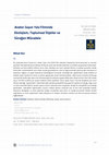 Research paper thumbnail of Avatar: Suyun Yolu Filminde Ekolojizm, Toplumsal İlişkiler ve Süreğen Mücadele