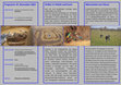 Research paper thumbnail of Flyer_11_Tag_der_Archäologie_Visbek_19_11_2023