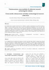 Research paper thumbnail of Valorizzazione cross-mediale di collezioni museali archeologiche italiane Cross-media enhancement of Italian archaeological museum collections