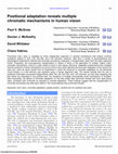 Research paper thumbnail of Positional adaptation reveals multiple chromatic mechanisms in human vision