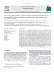 Research paper thumbnail of Anthecology and reproductive system of Mourera fluviatilis (Podostemaceae): Pollination by bees and xenogamy in a predominantly anemophilous and autogamous family?