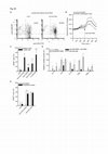 Research paper thumbnail of Supplementary Figure 3 from Cell Surface Delivery of TRAIL Strongly Augments the Tumoricidal Activity of T Cells