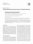 Research paper thumbnail of Triterpenoid Saponins from the Pericarps ofSapindus mukorossi