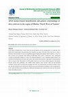 Research paper thumbnail of AFLP marker-based identification and genetic relationships of olive cultivars in the region of Hbebsa "North West of Tunisia