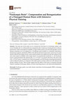 Research paper thumbnail of “Paralympic Brain”. Compensation and Reorganization of a Damaged Human Brain with Intensive Physical Training