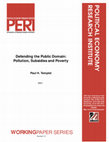 Research paper thumbnail of Defending the Public Domain: Pollution, Subsidies and Poverty