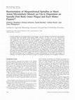 Research paper thumbnail of Reorientation of Mispositioned Spindles in Short Astral Microtubule Mutant<i>spc72</i>Δ Is Dependent on Spindle Pole Body Outer Plaque and Kar3 Motor Protein