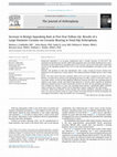 Research paper thumbnail of Increase in Benign Squeaking Rate at Five-Year Follow-Up: Results of a Large Diameter Ceramic-on-Ceramic Bearing in Total Hip Arthroplasty