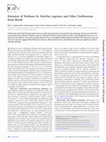 Research paper thumbnail of Emission of Methane by Eudrilus eugeniae and Other Earthworms from Brazil