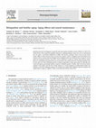 Research paper thumbnail of Bilingualism and healthy aging: Aging effects and neural maintenance