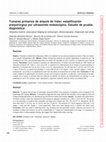 Research paper thumbnail of Tumores primarios de ámpula de Vater: estadificación prequirúrgica por ultrasonido endoscópico. Estudio de prueba diagnóstica