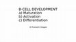 Research paper thumbnail of B-CELL DEVELOPMENT (Maturation)