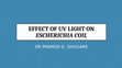 Research paper thumbnail of EFFECT OF UV LIGHT ON Escherichia coil