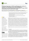 Research paper thumbnail of Combined Approach of GWAS and Phylogenetic Analyses to Identify New Candidate Genes That Participate in Arabidopsis thaliana Primary Root Development Using Cellular Measurements and Primary Root Length