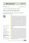 Research paper thumbnail of Muş/Varto Tepeköy Höyüğü Tunç Çağları