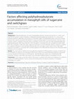 Research paper thumbnail of Factors affecting polyhydroxybutyrate accumulation in mesophyll cells of sugarcane and switchgrass