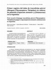 Research paper thumbnail of Primer registro del daño de Leucothrips piercei (Morgan) (Thysanoptera: Thripidae) en cultivos de pimiento (Capsicum annuum L.) (Solanaceae) en la Argentina First record of damage Leucothrips piercei (Thysanoptera: Thripidae) in pepper crops (Capsicum annuum L. (Solanaceae) in Argentina