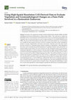 Research paper thumbnail of Using High-Spatial Resolution UAV-Derived Data to Evaluate Vegetation and Geomorphological Changes on a Dune Field Involved in a Restoration Endeavour