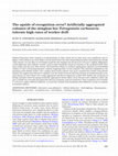 Research paper thumbnail of The upside of recognition error? Artificially aggregated colonies of the stingless bee Tetragonula carbonaria tolerate high rates of worker drift