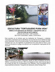 Research paper thumbnail of ESCULTURA "TORTUGUERO PURA VIDA"