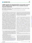 Research paper thumbnail of CaMKII regulates the depalmitoylation and synaptic removal of the scaffold protein AKAP79/150 to mediate structural long-term depression