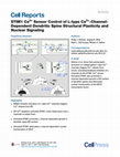 Research paper thumbnail of STIM1 Ca 2+ Sensor Control of L-type Ca 2+ -Channel-Dependent Dendritic Spine Structural Plasticity and Nuclear Signaling