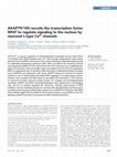 Research paper thumbnail of AKAP79/150 recruits the transcription factor NFAT to regulate signaling to the nucleus by neuronal L-type Ca<sup>2+</sup>channels