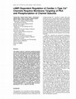 Research paper thumbnail of cAMP-Dependent Regulation of Cardiac L-Type Ca2+ Channels Requires Membrane Targeting of PKA and Phosphorylation of Channel Subunits